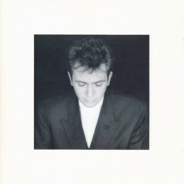 Peter Gabriel – Shaking The...