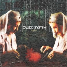 Calico System – They Live
