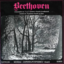 Beethoven - Mihai...