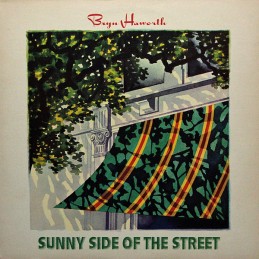 Bryn Haworth ‎– Sunny Side...