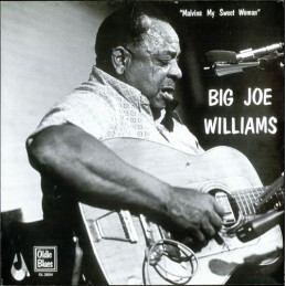 Big Joe Williams – Malvina...
