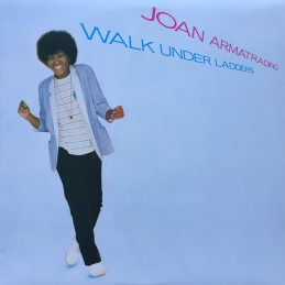Joan Armatrading ‎– Walk...