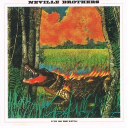 The Neville Brothers - Fiyo...
