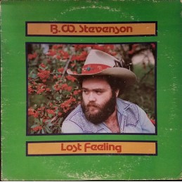 B.W. Stevenson ‎– Lost Feeling