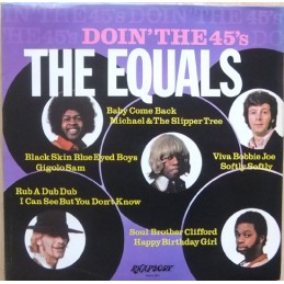 The Equals ‎– Doin' The 45's