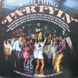 Wild Thing ‎– Partyin'