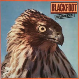Blackfoot ‎– Marauder