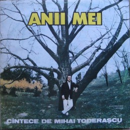 Mihai Toderașcu – Anii Mei...