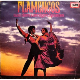 Die Flamenco-Gruppe...