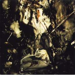 Fields Of The Nephilim –...