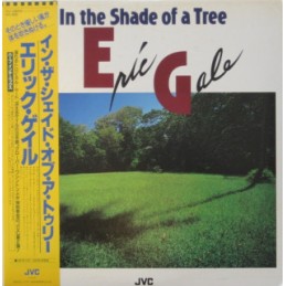 Eric Gale – In The Shade Of...