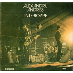 Alexandru Andrieș – Interioare