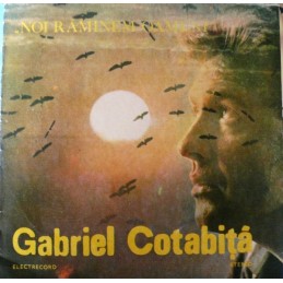 Gabriel Cotabiță – Noi...