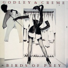 Godley & Creme – Birds Of Prey