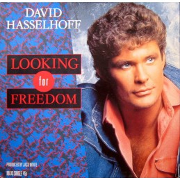 David Hasselhoff – Looking...