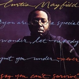 Curtis Mayfield – Never Say...