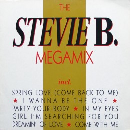 Stevie B. – The Stevie B....