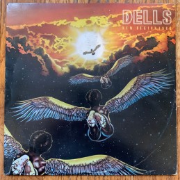 Dells – New Beginnings