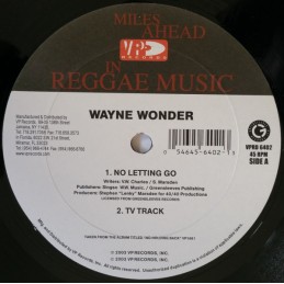 Wayne Wonder – No Letting Go
