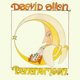 Daevid Allen – Banana Moon