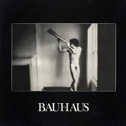 Bauhaus – In The Flat Field