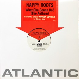 Nappy Roots – What Cha...