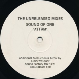Sound Of One – As I Am (The...