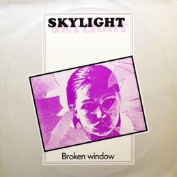 Skylight – Broken Window