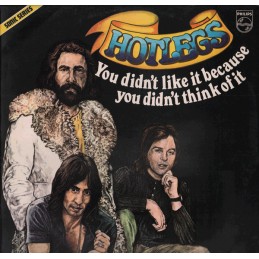 Hotlegs – You Didn't Like...