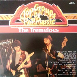 The Tremeloes – Top Groups...