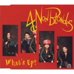4 Non Blondes – What's Up?