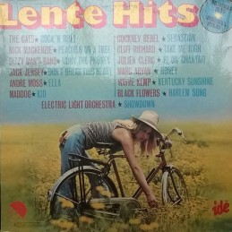 Various – Lente Hits