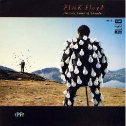 Pink Floyd – Delicate Sound...