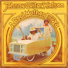 Johnny Guitar Watson ‎– A...