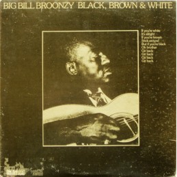 Big Bill Broonzy – Black,...