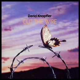 David Knopfler – Cut The Wire