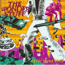 The Wonder Stuff - Never...