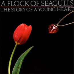 A Flock Of Seagulls – The...