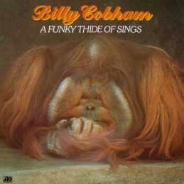Billy Cobham - A Funky...
