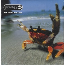 Prodigy - The Fat Of The Land