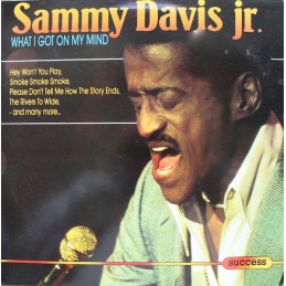 Sammy Davis Jr. - What I...