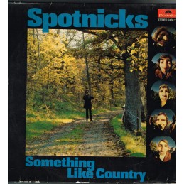 Spotnicks - Something Like...