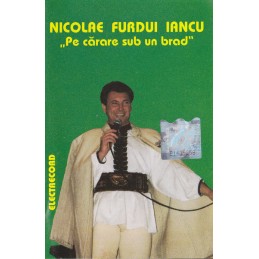Nicolae Furdui Iancu - Pe...