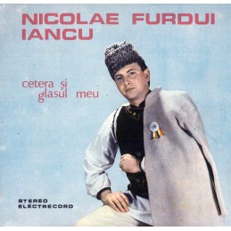 Nicolae Furdui Iancu -...