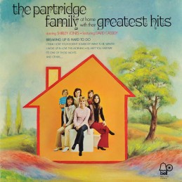 The Partridge Family - The...
