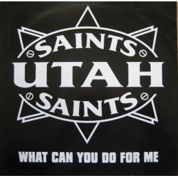 Utah Saints - What Can You...