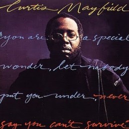 Curtis Mayfield - Never Say...