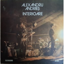 Alexandru Andrieș – Interioare