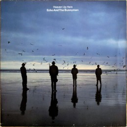 Echo And The Bunnymen -...