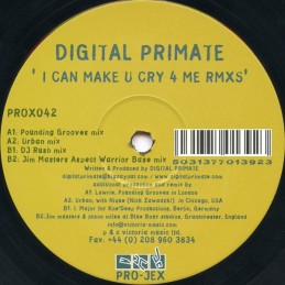 Digital Primate - I'll Make...